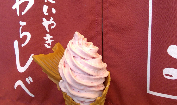 『たいやき屋さんのアイス』取扱い店です